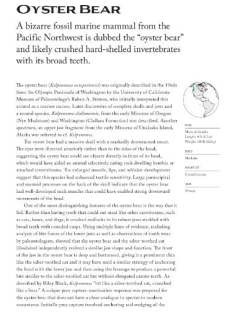 Sea Mammals: The Past and Present Lives of our Oceans’ Cornerstone Species (en Inglés) - La Biblioteca del Naturalista