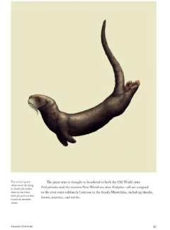 Sea Mammals: The Past and Present Lives of our Oceans’ Cornerstone Species (en Inglés)