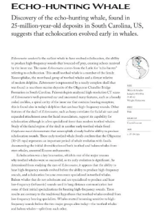 Sea Mammals: The Past and Present Lives of our Oceans’ Cornerstone Species (en Inglés) - comprar online