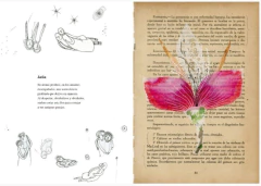 VADEMÉCUM DE LA FLORA NATURALIS IMAGINARIA - La Biblioteca del Naturalista