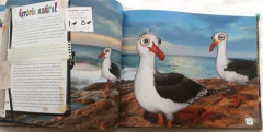 Animales Autóctonos para Niños Nativos- Islas del Atlantico Sur, Mar argentino y Antártida - La Biblioteca del Naturalista