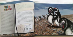Animales Autóctonos para Niños Nativos- Islas del Atlantico Sur, Mar argentino y Antártida - comprar online