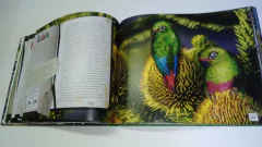ANIMALES AUTÓCTONOS para Niños Nativos- Bosque Andino patagónico - comprar online