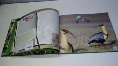 ANIMALES AUTÓCTONOS para Niños Nativos- Bosque Andino patagónico - La Biblioteca del Naturalista