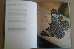 Misiones - Mariposas - buy online