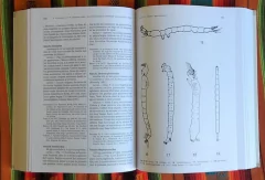 Macroinvertebrados Bentónicos Sudamericanos - buy online