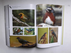 AVES DE ARGENTINA - Tesoro Natural (Libro Homenaje a Tito Narosky) (Tapa Dura) - comprar online