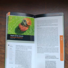 Guía de insectos del Uruguay - buy online