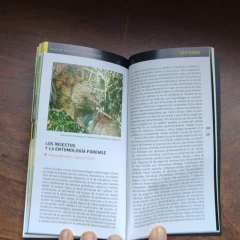 Guía de insectos del Uruguay - buy online