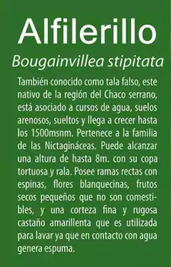 Imagen de Memoria Nativa - Juego del Bosque