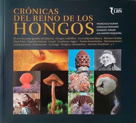 Crónicas del Reino de los Hongos - buy online