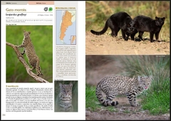 MAMÍFEROS de ARGENTINA - Tomo 2 - comprar online