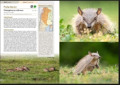 MAMÍFEROS de ARGENTINA - Tomo 2 - tienda online