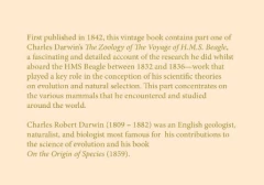 The Zoology of the Voyage of H.M.S Beagle - Part II - Mammalia (En Inglés) - comprar online