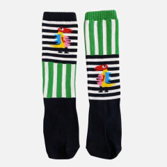 Meia Divertido Dino - comprar online