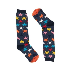 Meia Estrela Colorida na internet