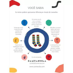 Imagem do Soquete Coelhinho
