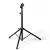 Contrabajo Ned Steinberg - tienda online