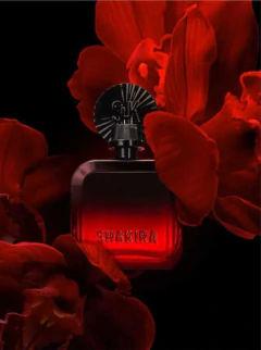 Rojo Elixir EDP en internet