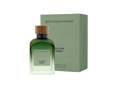Vetiver Terra
