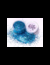 STELLAR DOBLE