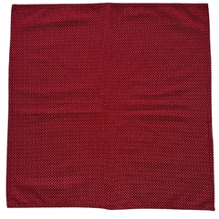 Guardanapo vermelho com bolinhas - Casa da Caubi