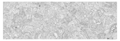 Pack Abstractas - 4 láminas individuales para pintar - tienda online