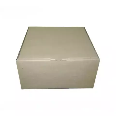 CAIXA DE PAPELÃO 25X25X12,5cm - COD: TS 25 - comprar online