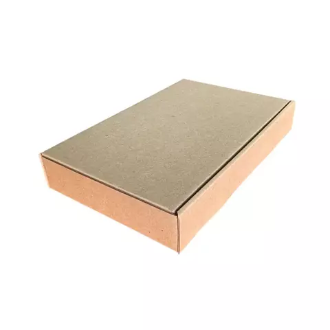 CAIXA DE PAPELÃO 24X16X4cm (MEDIDA EXT ACEITA NO PAC MINI) - COD: TS M1 - comprar online