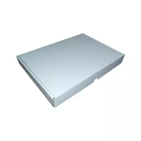 CAIXA DE PAPELÃO 23X14X1,8cm (PAC MINI) - COD: TS M BRANCO EXT - comprar online