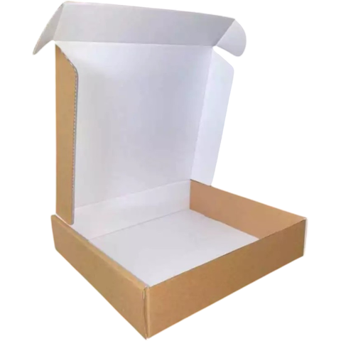 CAIXA DE PAPELÃO CORREIOS/SEDEX 21,5X20X4,7 cm INTERNO BRANCO - comprar online