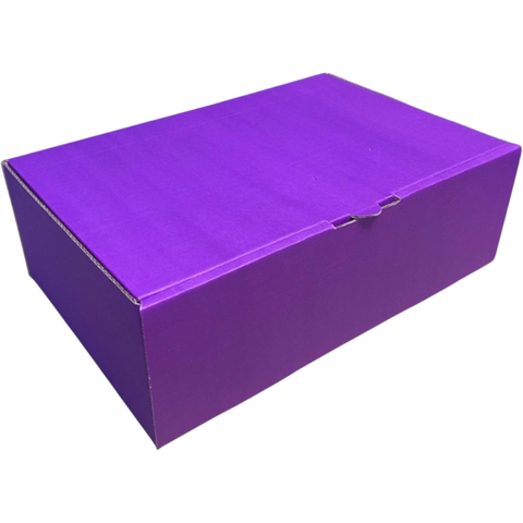 CAIXA DE PAPELÃO N° 2 - 27X18X9cm COR ROXA - COD: TS 02 - comprar online