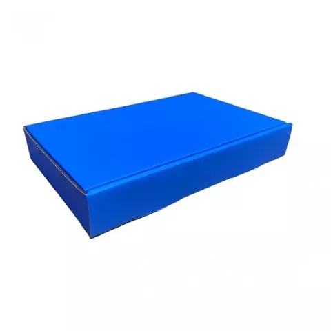 CAIXA DE PAPELÃO 24X16X4cm ext. EXTERNO AZUL - COD: TS M1 AZUL - comprar online