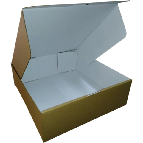 CAIXA DE PAPELÃO 30X30X10cm INTERNO BRANCO - COD: TS 30 - comprar online