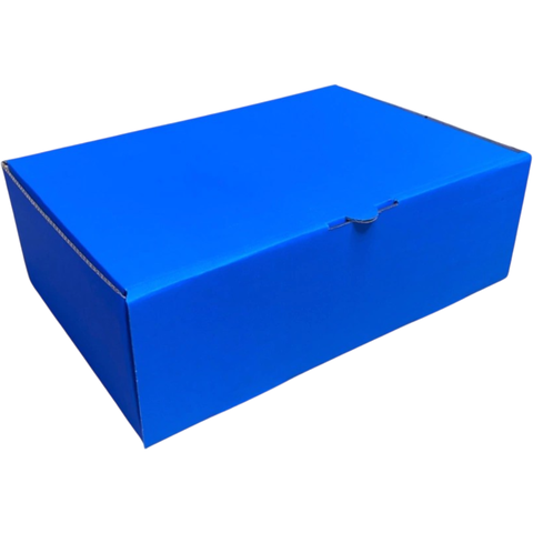 CAIXA DE PAPELÃO N° 2 - 27X18X9cm COR AZUL - COD: TS 02 - comprar online