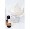 Aromaflor Difusor Magnolia en internet