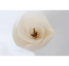 Linen Flower Mini - comprar online