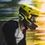 Intercomunicador para deportes Cardo Packtalk Outdoor (Deportes, Ski, Surf, bike) - tienda online