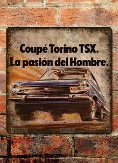 Chapa rústica Renault Torino TSX