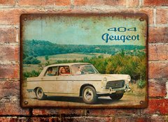 Chapa rústica Peugeot 404 1960 - comprar online