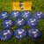Hoffenheim (ALE) - comprar online