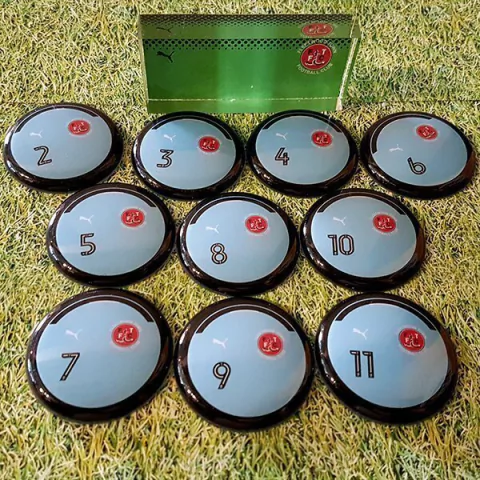 Fleetwood Town (ING) - comprar online