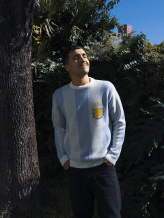 Imagen de Sweater Hincha 01