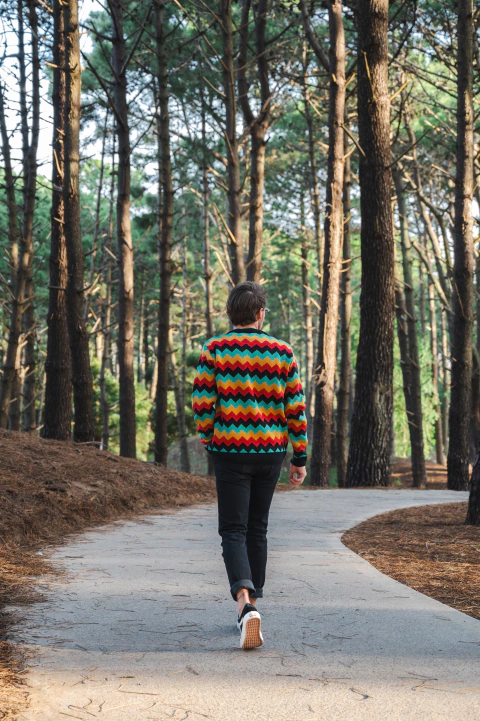 Sweater Copenhague - comprar online