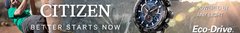 Banner de la categoría Citizen