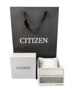 Reloj Citizen Hombre Cuarzo BF2001-55A - tienda online