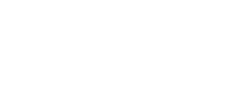Odisea Swimwear