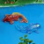 Molde de silicona para peces - Servifibras-Expertos en resinas y fibras