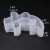 Molde de silicona para peces - tienda online