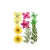 10 Flores Secas Prensadas Resinas Epoxi Uv Pensamientos